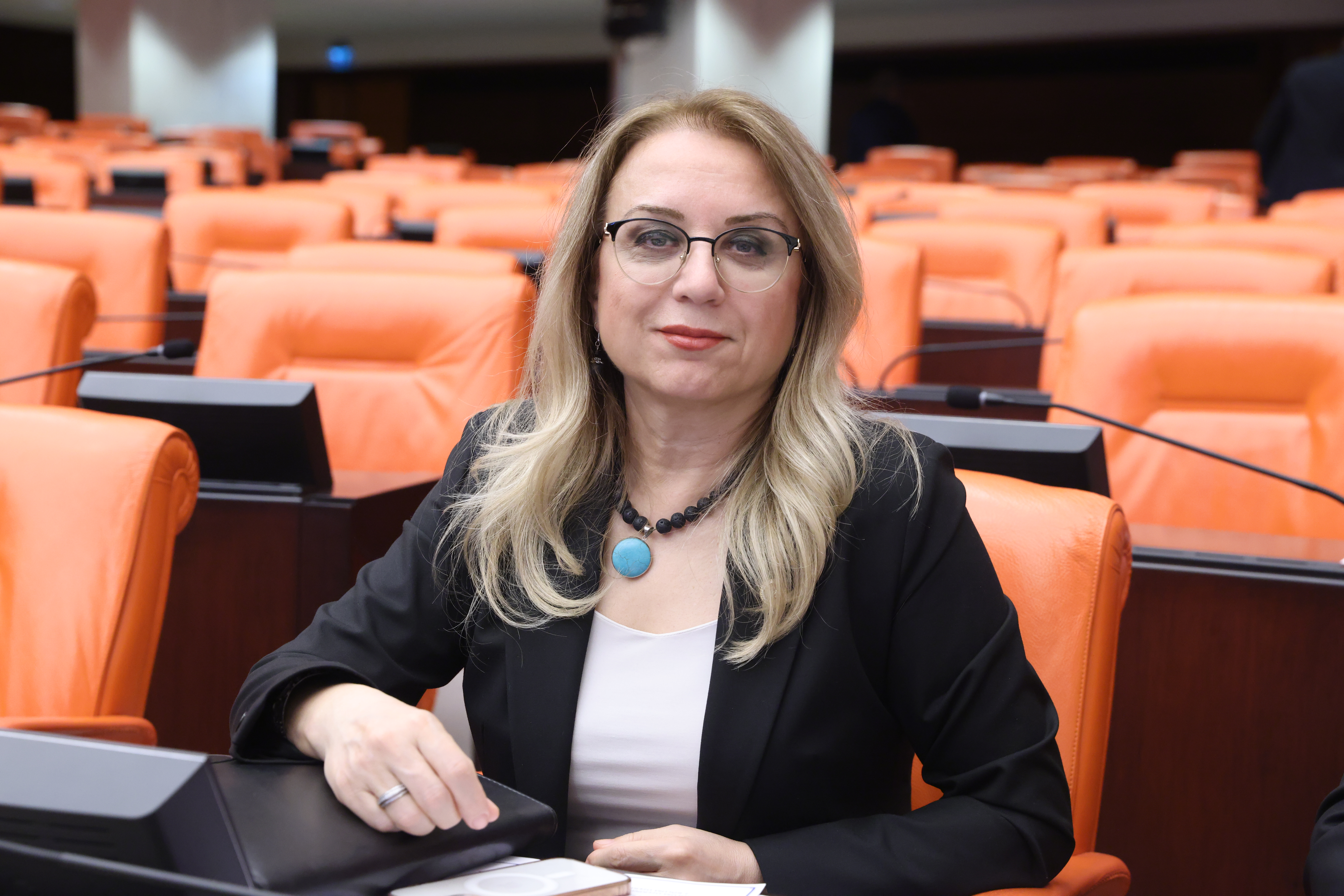 Filiz Kılıç’tan mecliste önemli vurgu