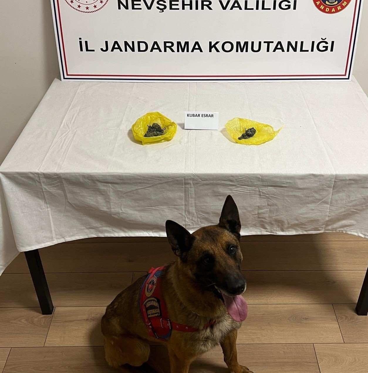 Kozaklı’da zehir tacirlerine darbe