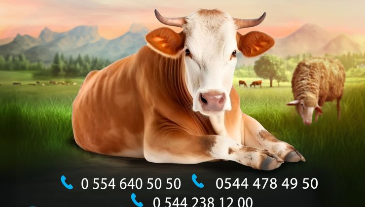 Ülkü Ocakları kurban derilerine talip
