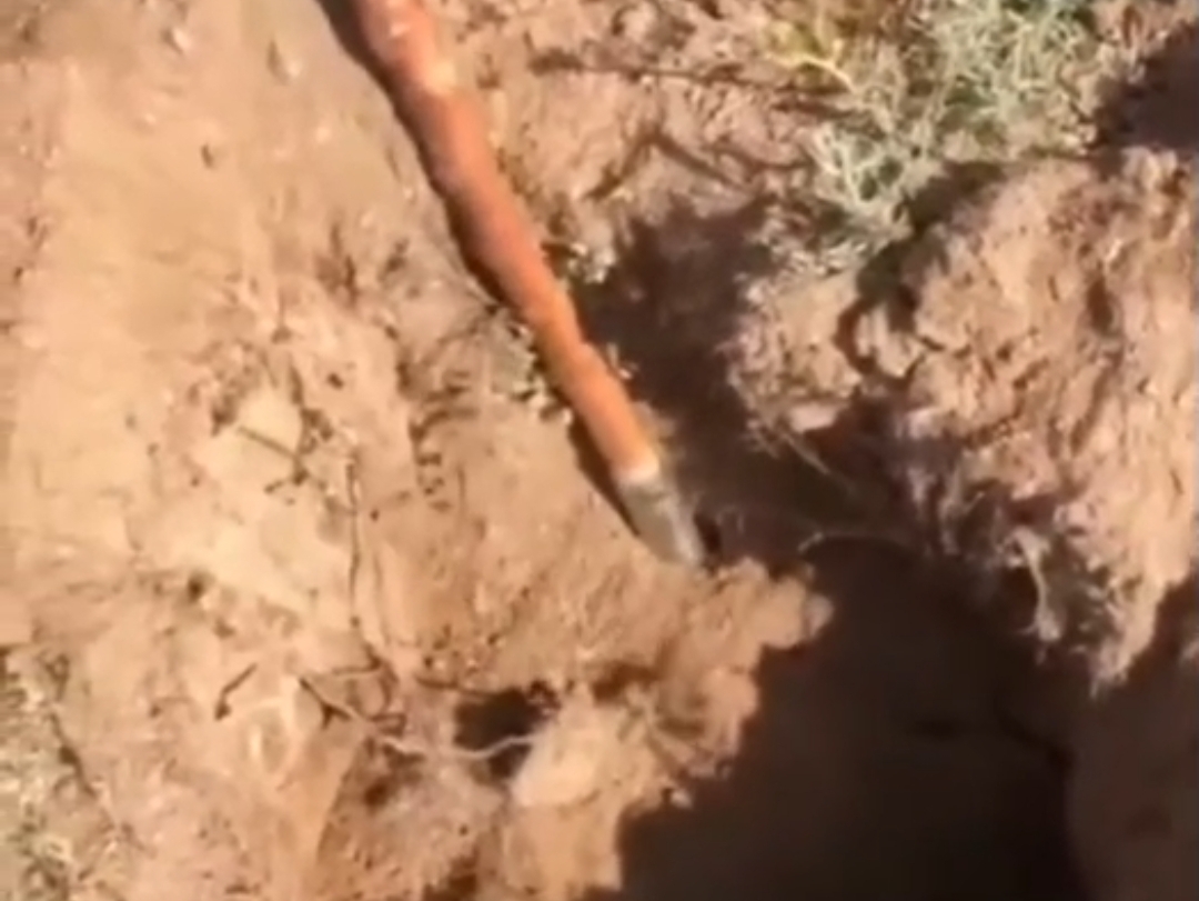 Nevşehir bunu konuşuyor! Toprağı yarım metre oydu