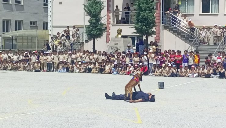 Eğitimli köpek öğrenci ve velileri büyüledi