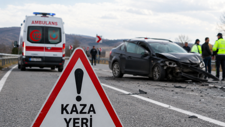 Yola çıkan ata otomobil çarptı