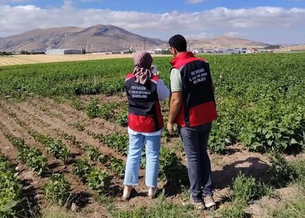 Nevşehir’de tarlalar tek tek inceleniyor