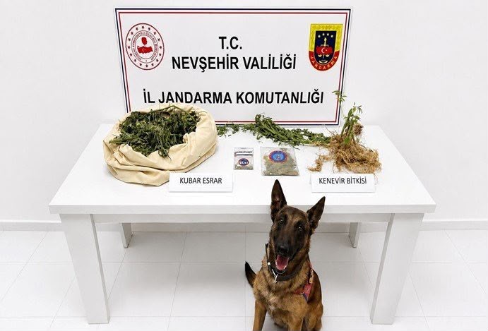Nevşehir’de narkotik operasyonu!