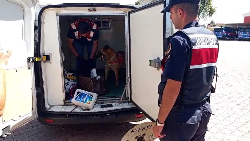 Jandarma eğitimli köpekler ile aradı! 1 gözaltı