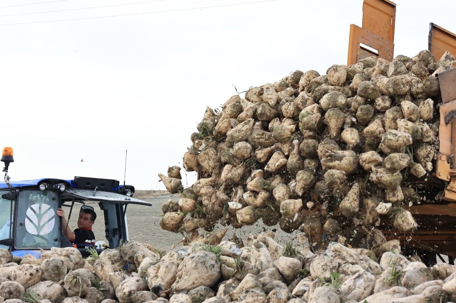 Nevşehir’de 388 bin ton pancar üretildi